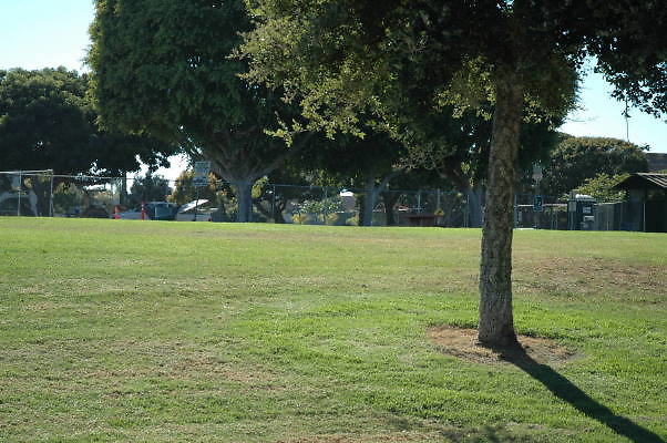 DSC 0268
