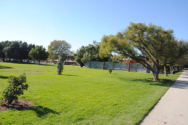 DSC 0069
