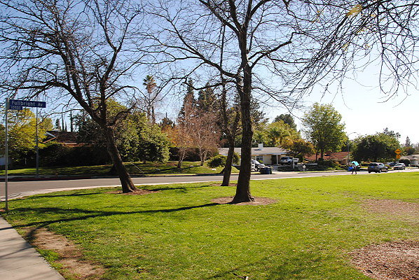 DSC 0084