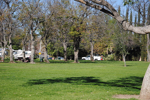 DSC 0118