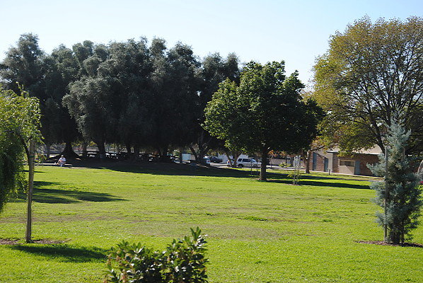 DSC 0076