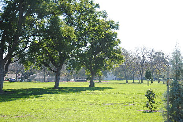 DSC 0074