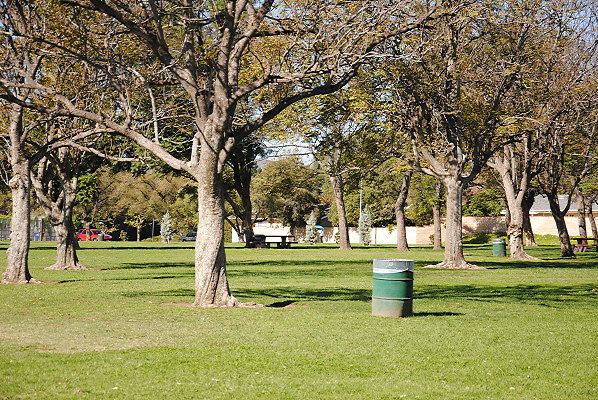 DSC 0116