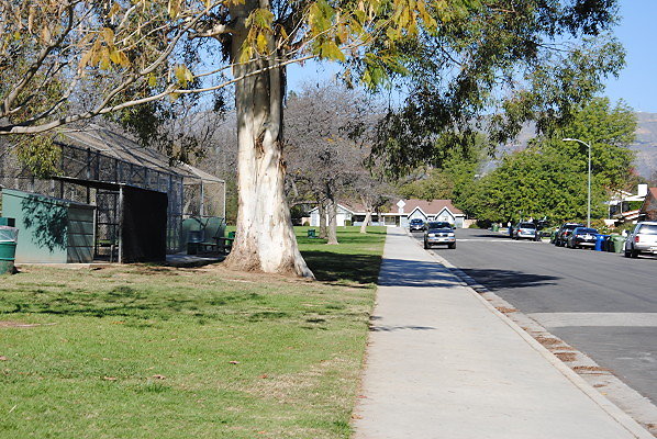 DSC 0134