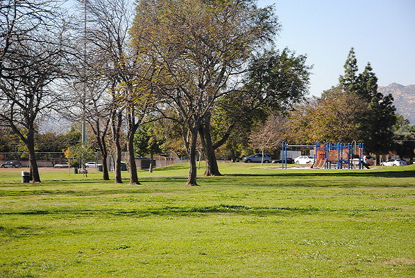 DSC 0111