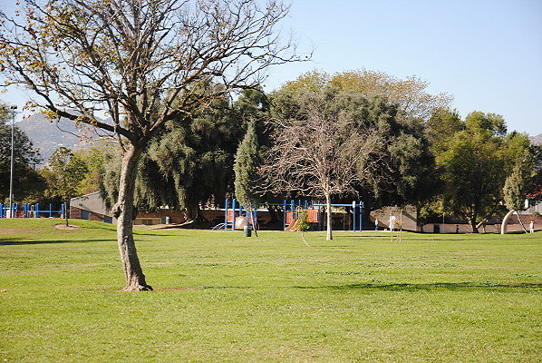 DSC 0113