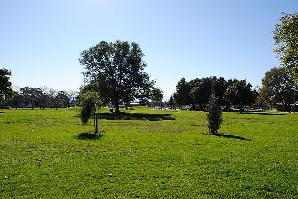 DSC 0082