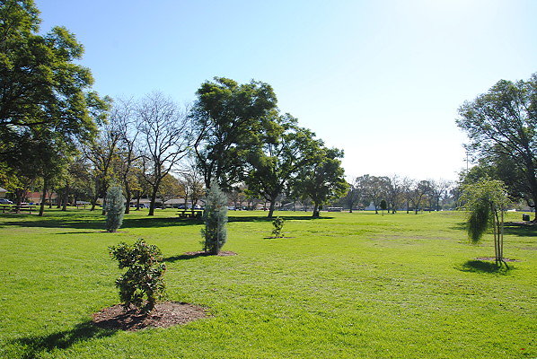 DSC 0081