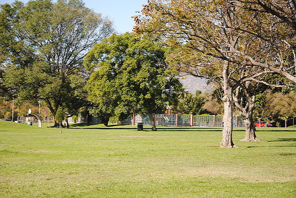 DSC 0115