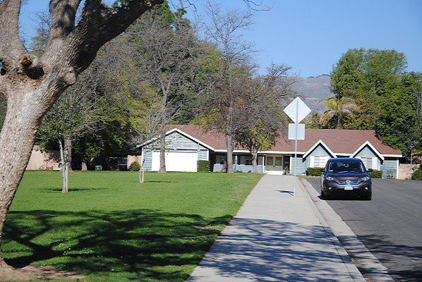 DSC 0119