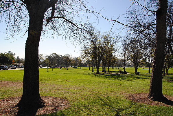 DSC 0085