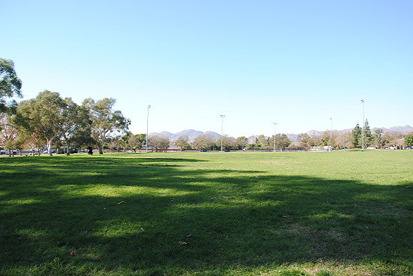 DSC 0124