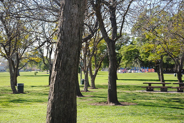 DSC 0090