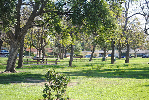 DSC 0072