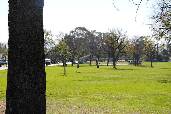 DSC 0088