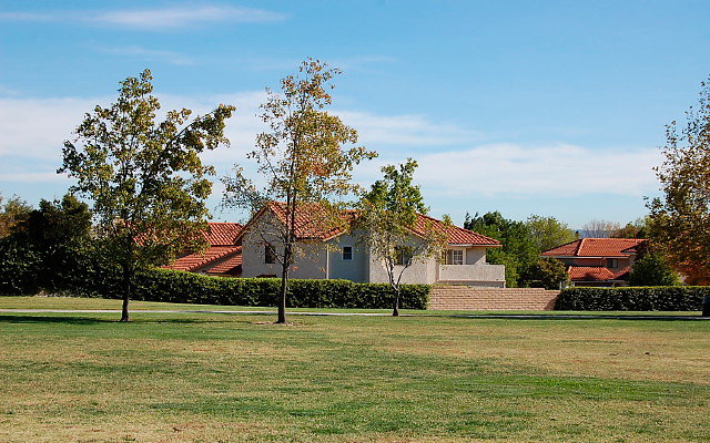 DSC 0201