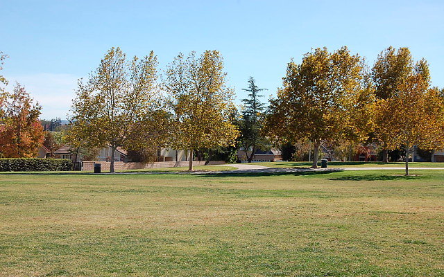 DSC 0193