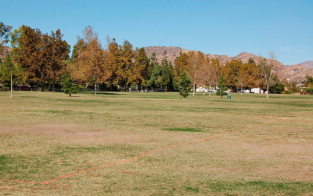 DSC 0187