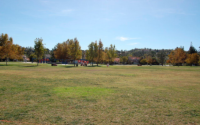 DSC 0191