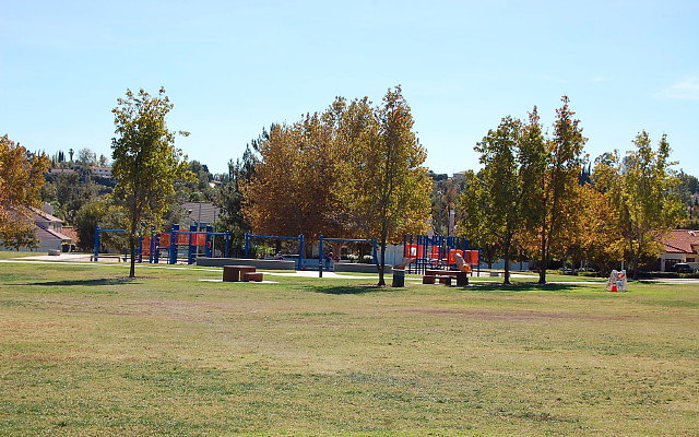 DSC 0194