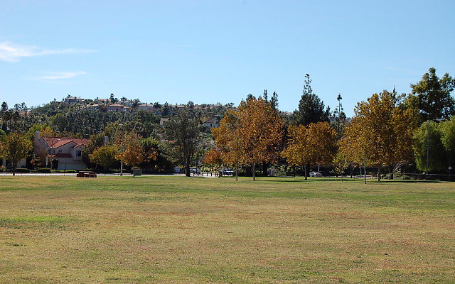 DSC 0195