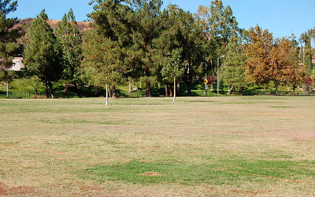 DSC 0186