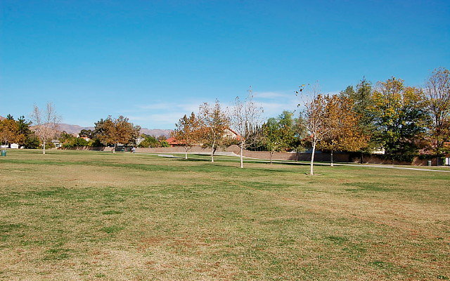 DSC 0196