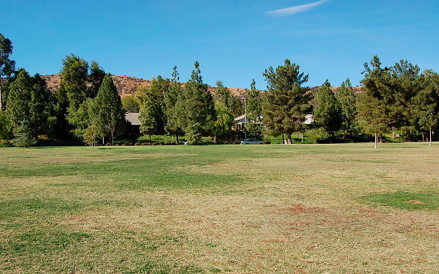 DSC 0183
