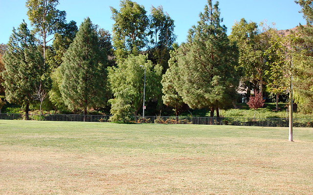 DSC 0206