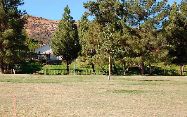 DSC 0207