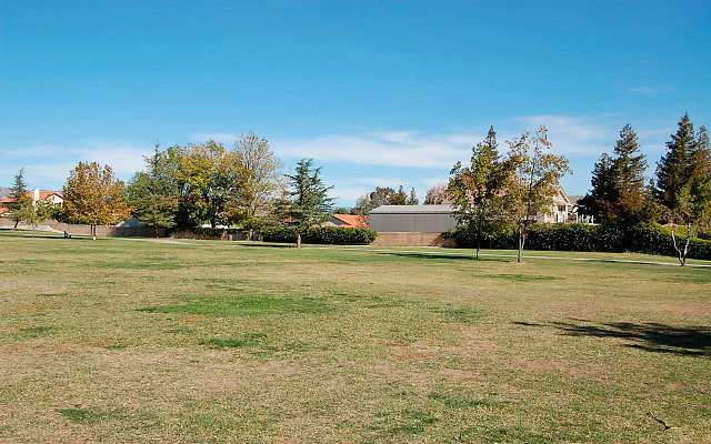 DSC 0185