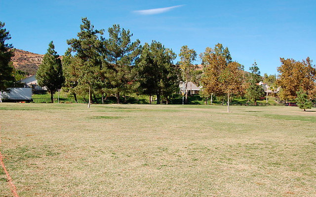 DSC 0204
