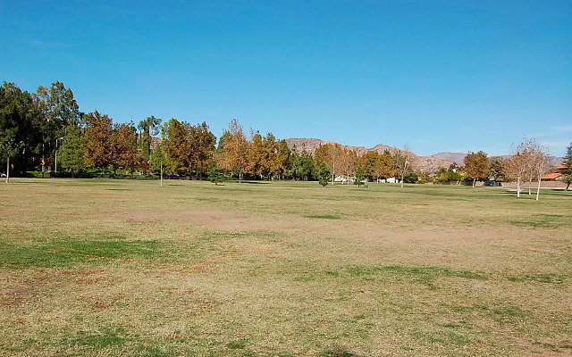 DSC 0184