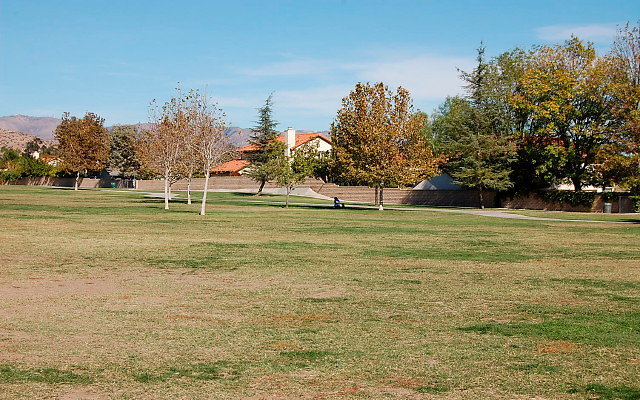 DSC 0188