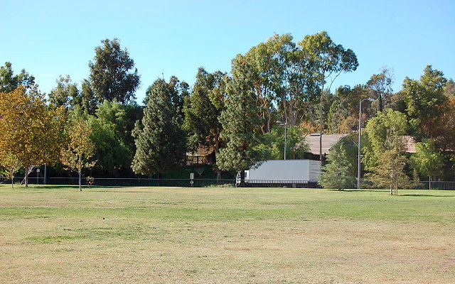 DSC 0205