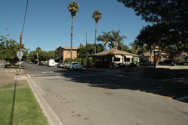 DSC 0103