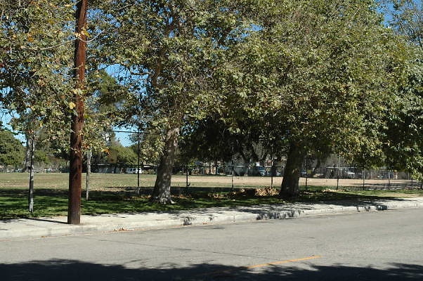 DSC 0077