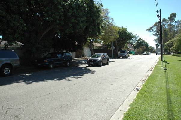 DSC 0105