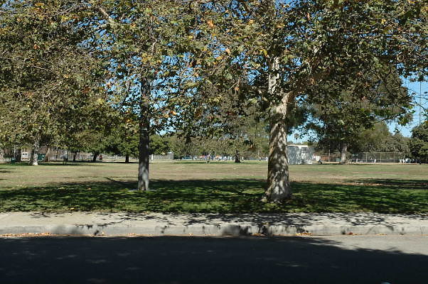 DSC 0076