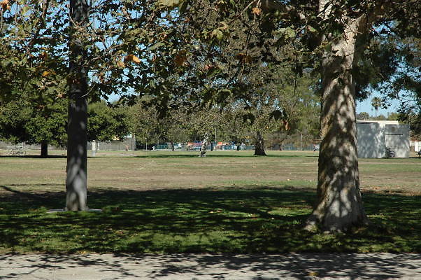 DSC 0073