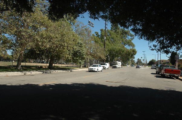 DSC 0080