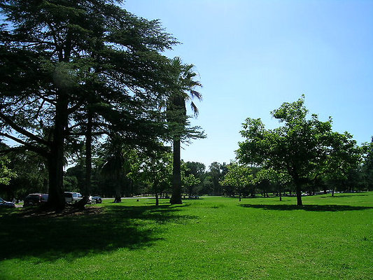 DSCN0148-M