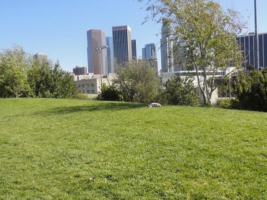 Vista.Hermosa.Park.21
