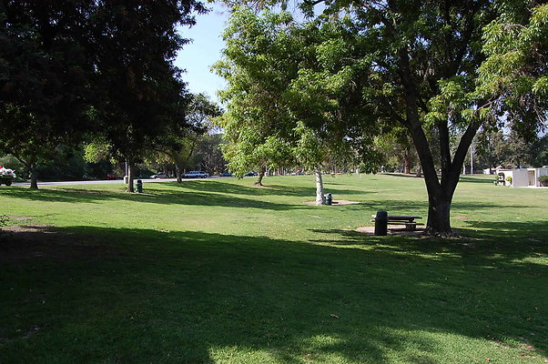 Grass.Griffith.Park.10