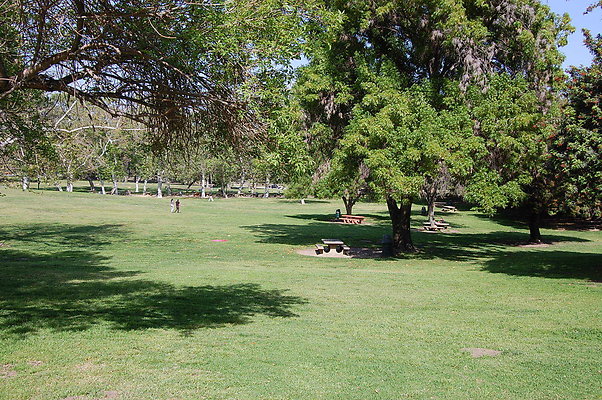 Grass.Griffith.Park.02