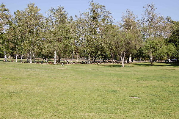 Grass.Griffith.Park.20