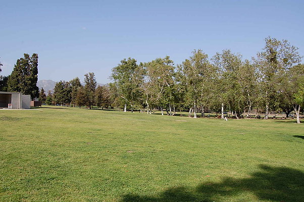 Grass.Griffith.Park.15