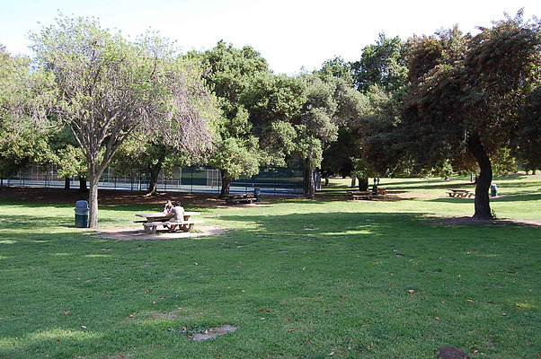 Grass.Griffith.Park.17