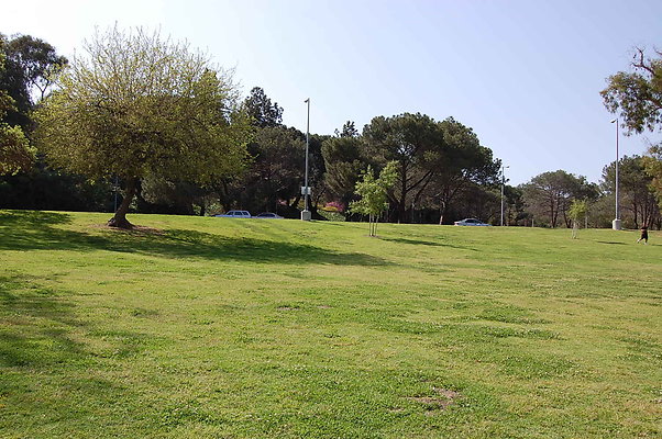 Grass.Griffith.Park.24