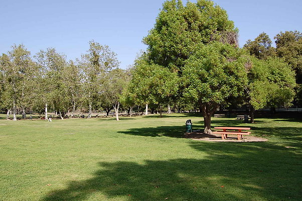 Grass.Griffith.Park.16